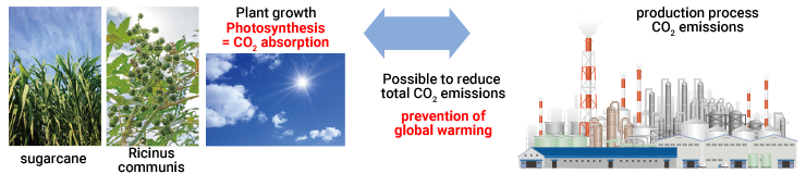 Plant growth  Production process