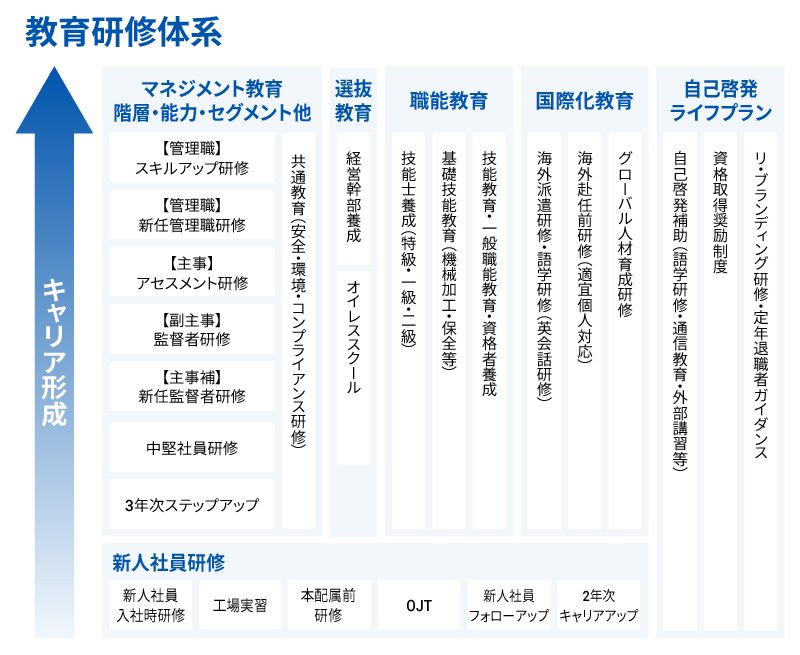 教育研修体系